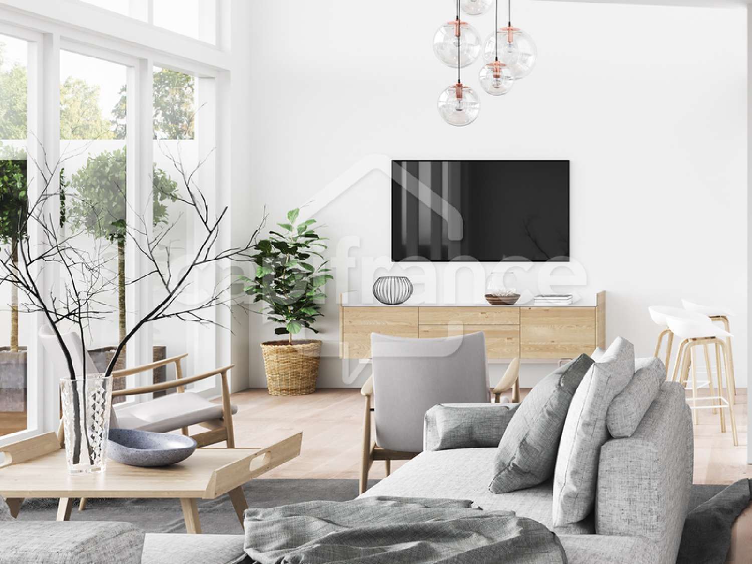 te koop appartement Serpaize Isère 1