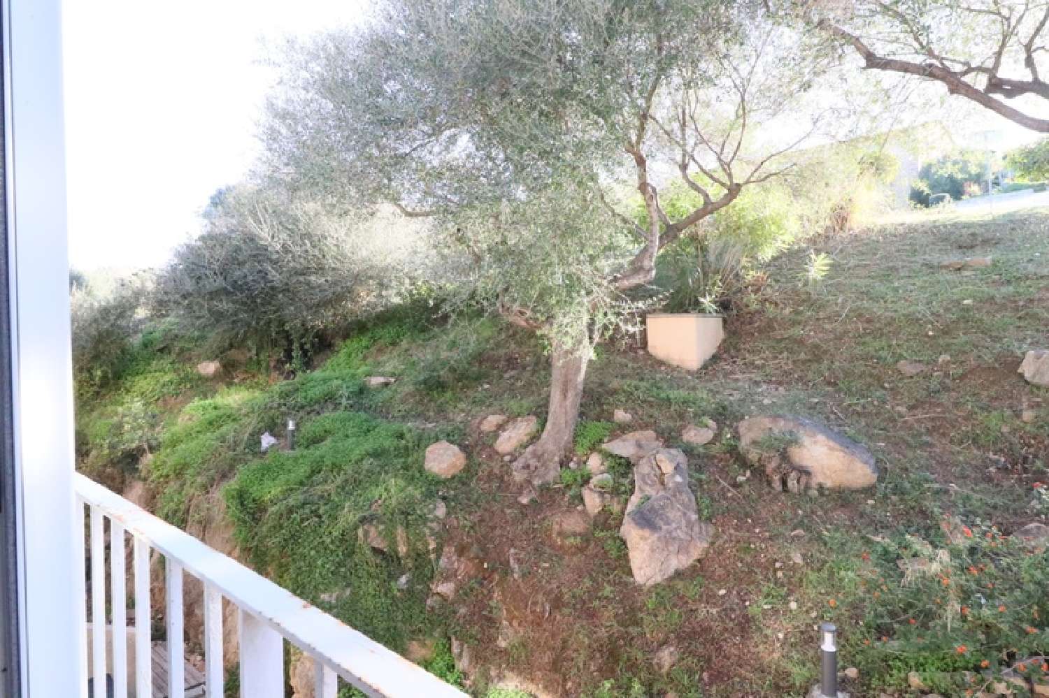  à vendre appartement Serra-di-Ferro Corse-du-Sud 7