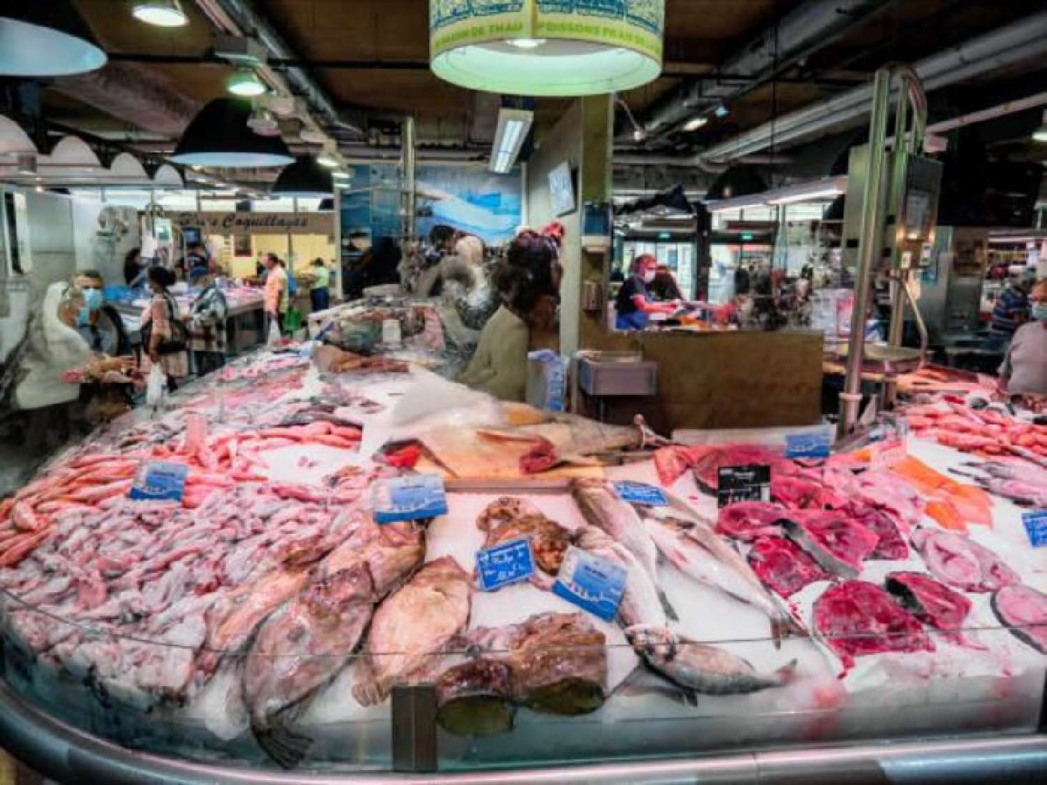 te koop appartement Sète Hérault 7