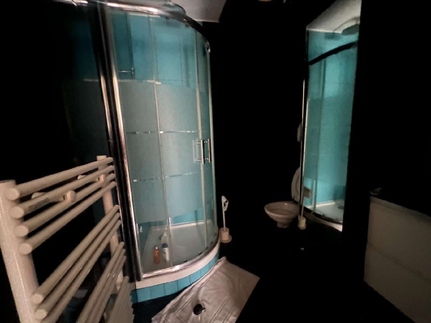  te koop appartement Suresnes Hauts-de-Seine 6