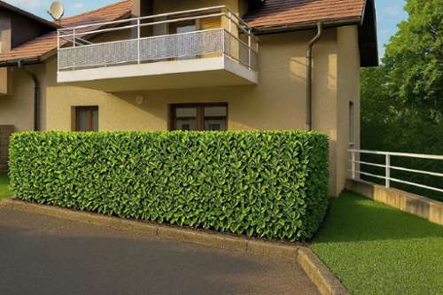 Thoiry Ain appartement foto 7223017