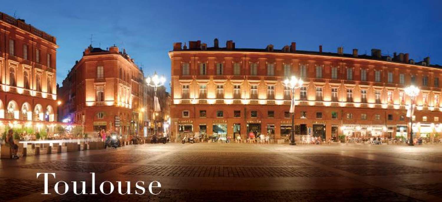 kaufen Wohnung/ Apartment Toulouse 31500 Haute-Garonne 2