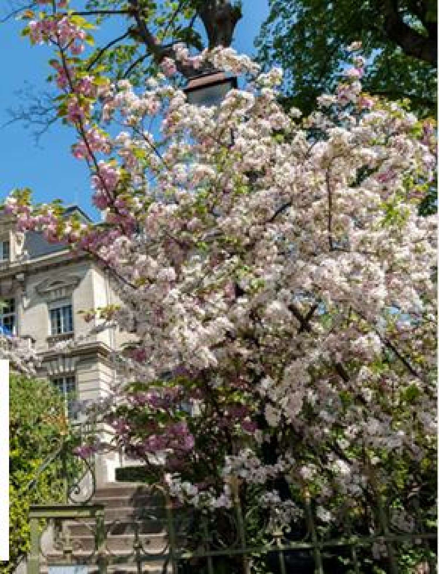  for sale apartment Vanves Hauts-de-Seine 5