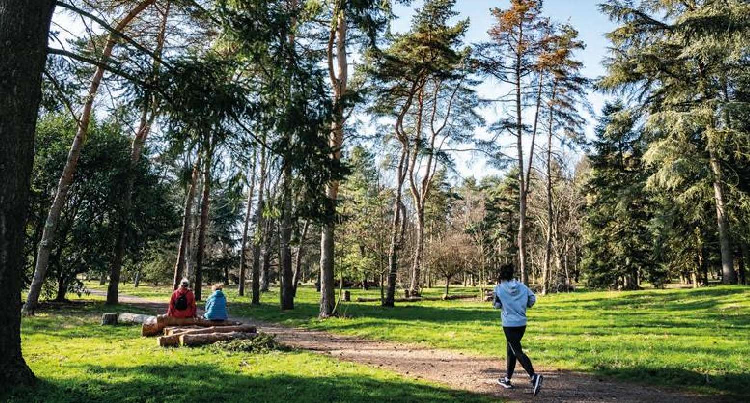  à vendre appartement Vénissieux Rhône 3