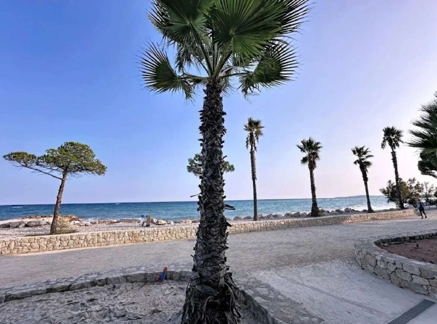  te koop appartement Villeneuve-Loubet Alpes-Maritimes 1