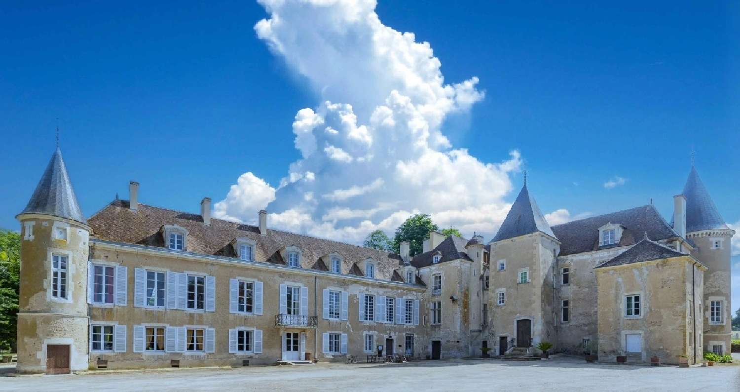 te koop kasteel Avallon Yonne 1