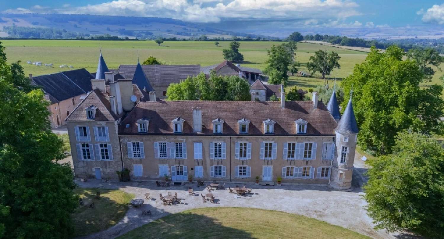 te koop kasteel Avallon Yonne 2