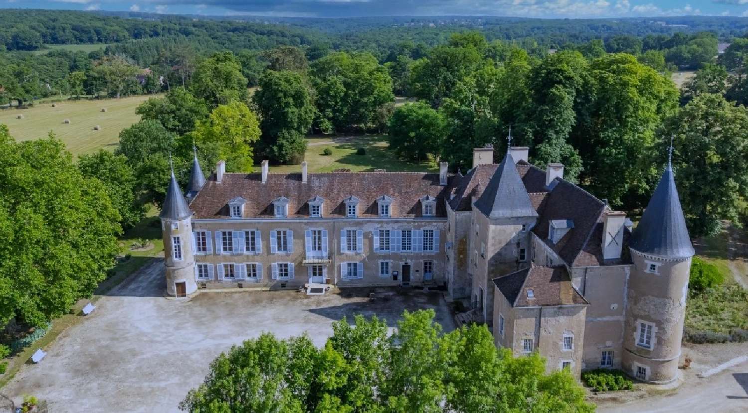 te koop kasteel Avallon Yonne 3