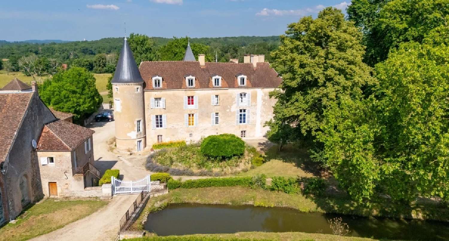 te koop kasteel Avallon Yonne 4