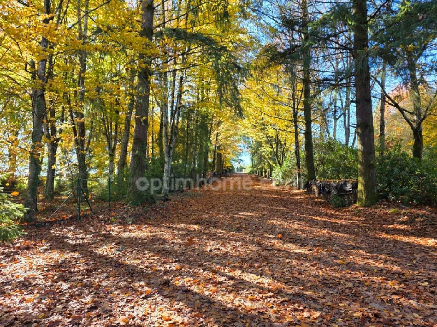  kaufen Schloss Châteauneuf-la-Forêt Haute-Vienne 3
