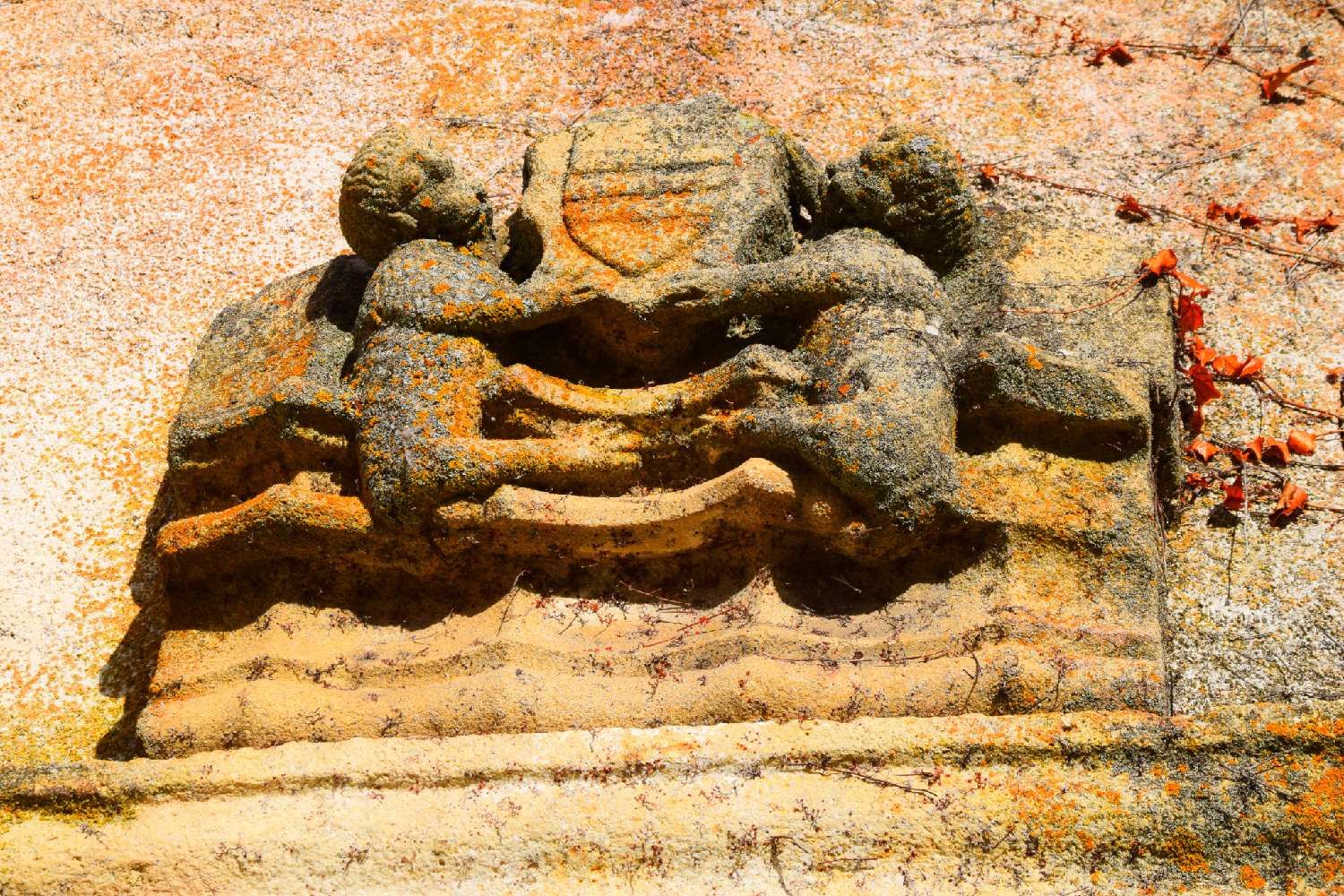  te koop kasteel Coucouron Ardèche 3