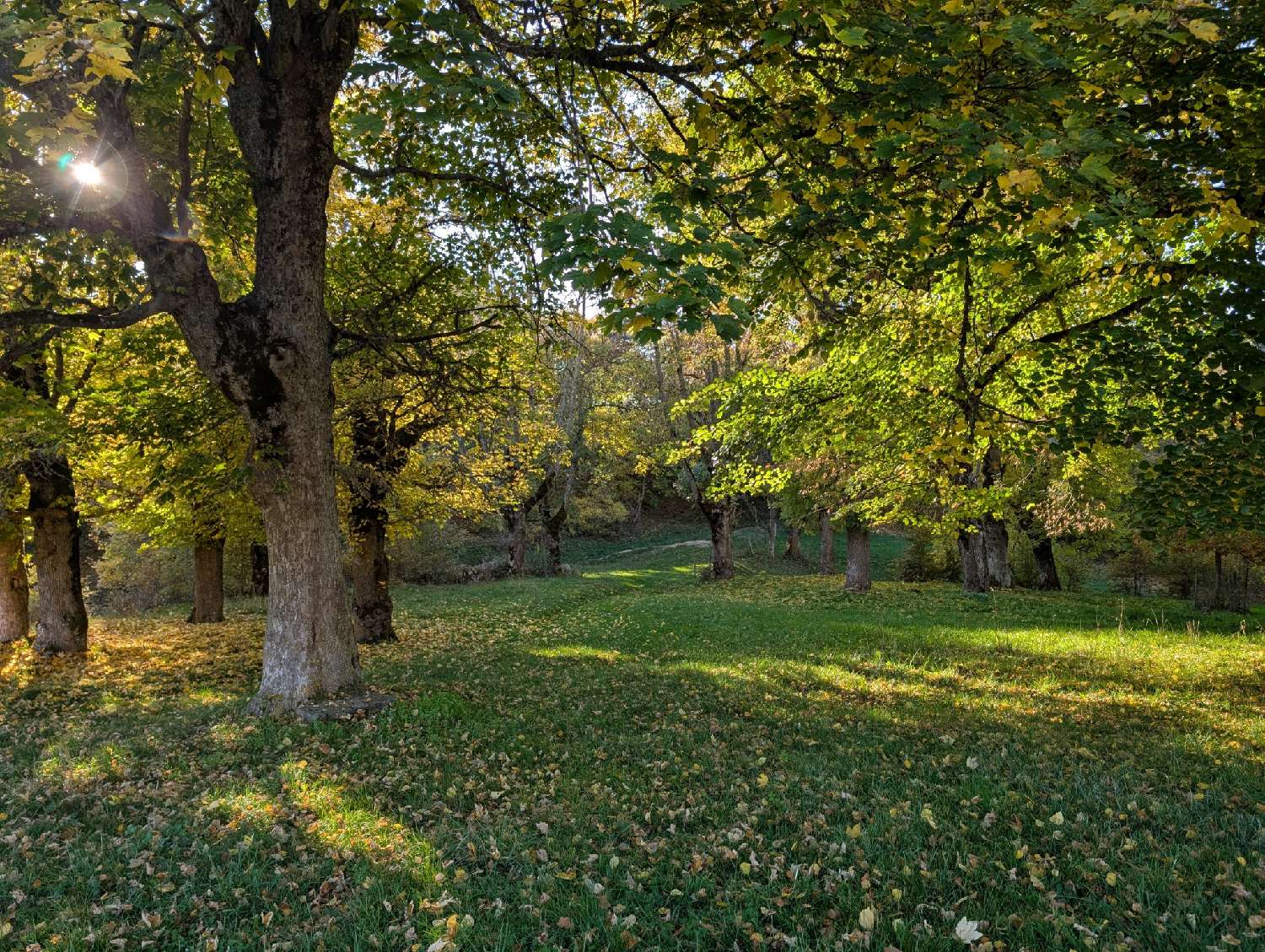  te koop kasteel Coucouron Ardèche 6