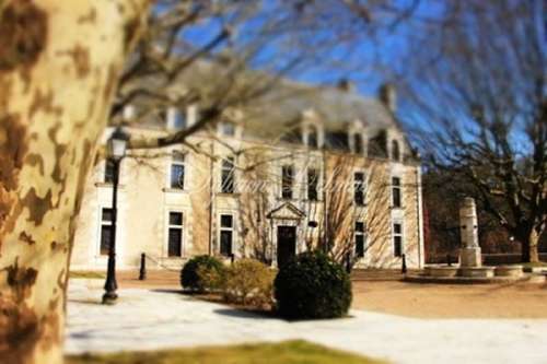 Lussault-sur-Loire Indre-et-Loire castle foto 7228499