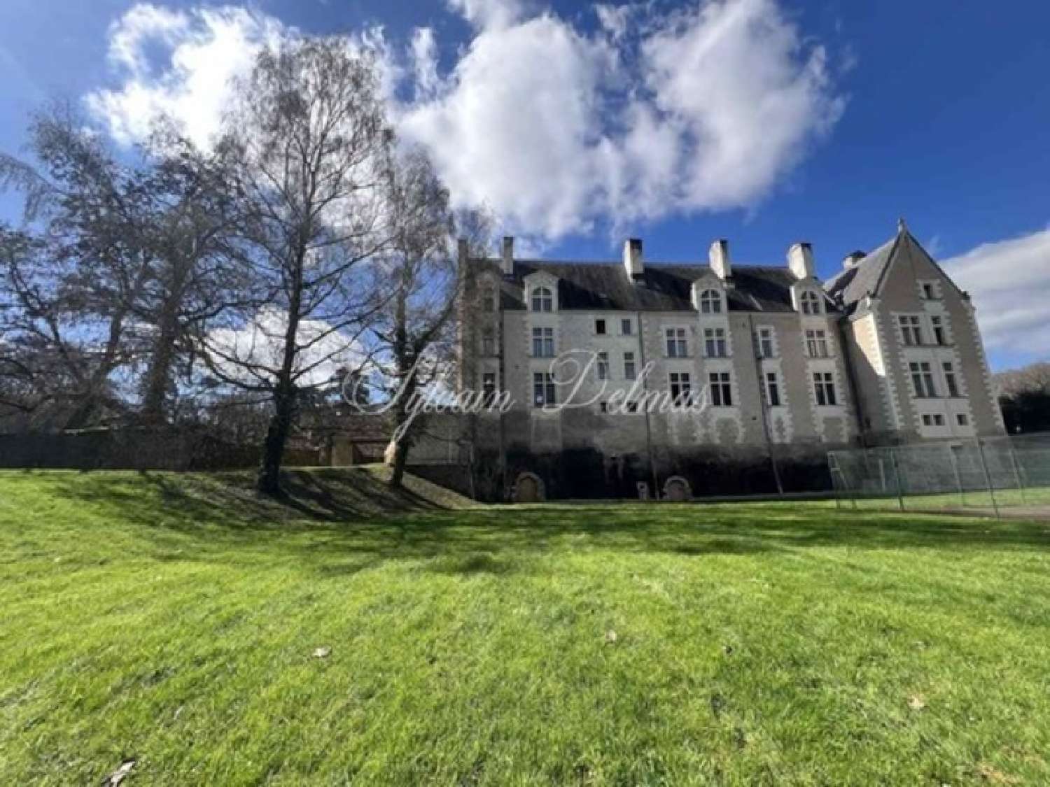 for sale castle Lussault-sur-Loire Indre-et-Loire 3