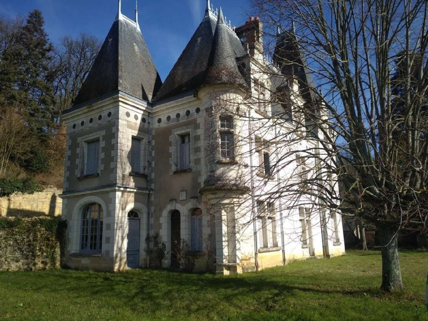 for sale castle Lussault-sur-Loire Indre-et-Loire 2