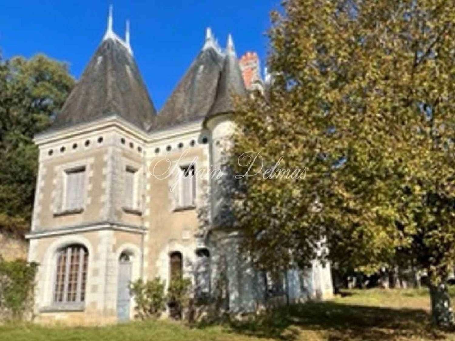  for sale castle Lussault-sur-Loire Indre-et-Loire 4