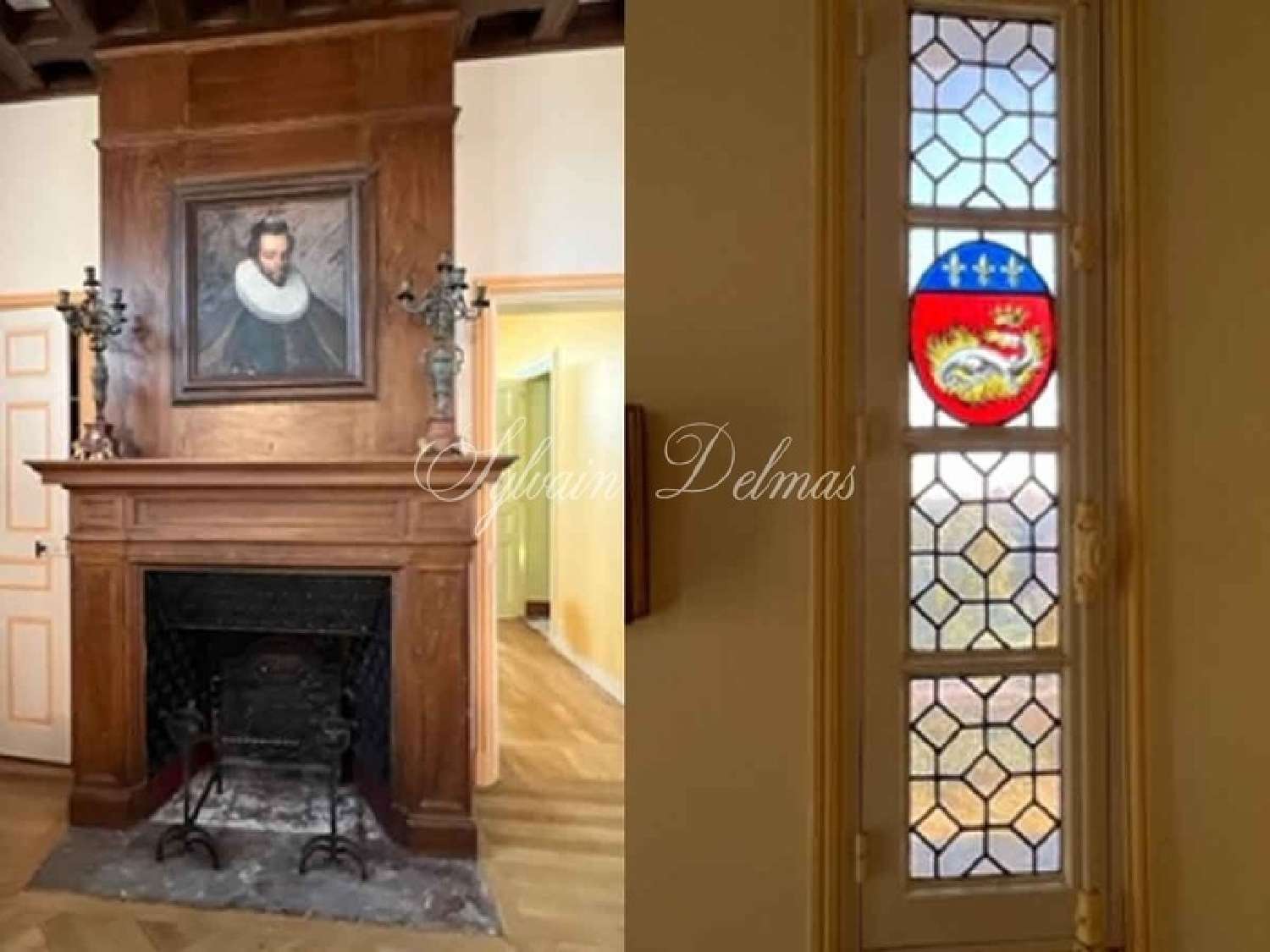  for sale castle Lussault-sur-Loire Indre-et-Loire 7