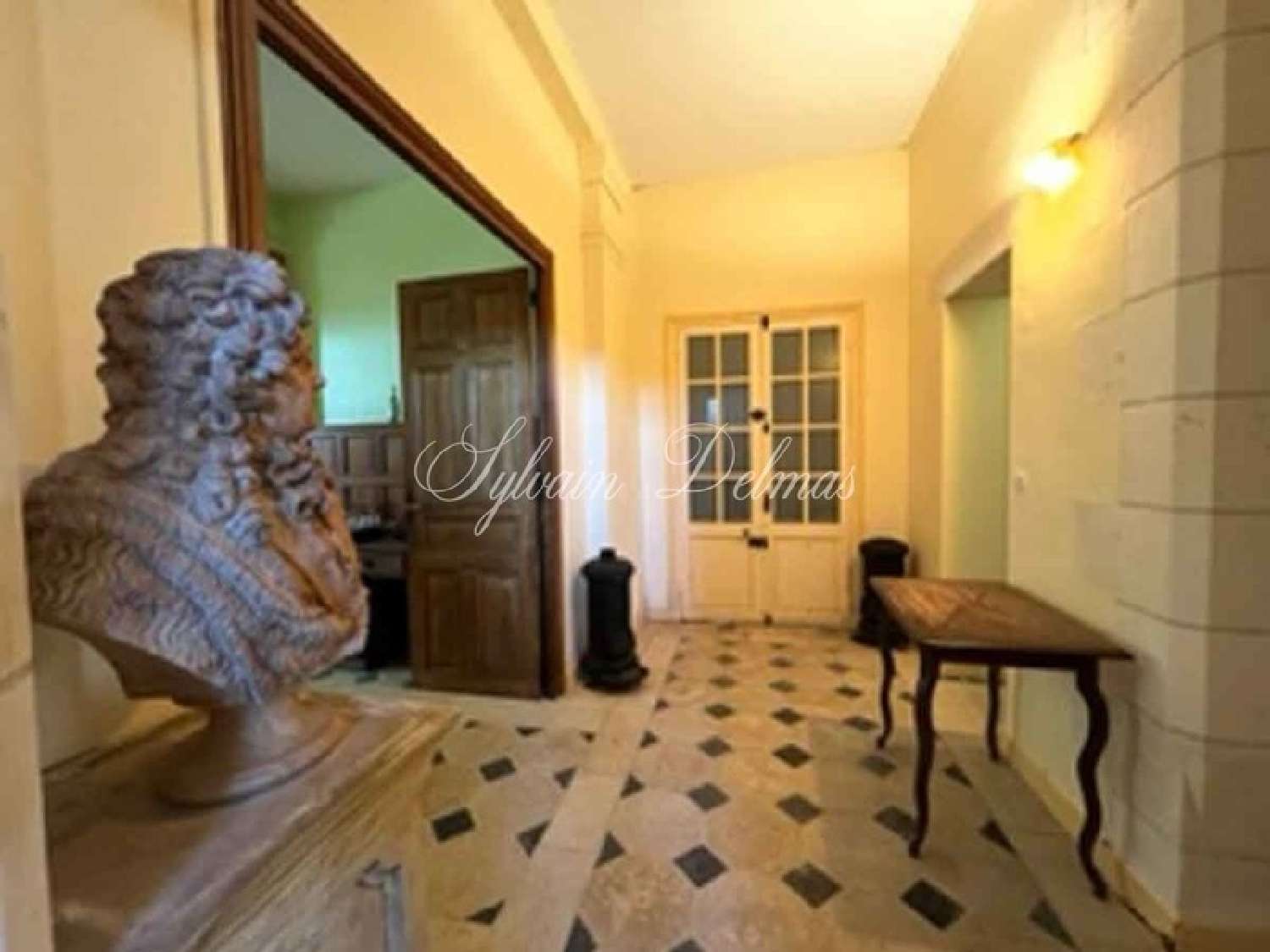  for sale castle Lussault-sur-Loire Indre-et-Loire 8