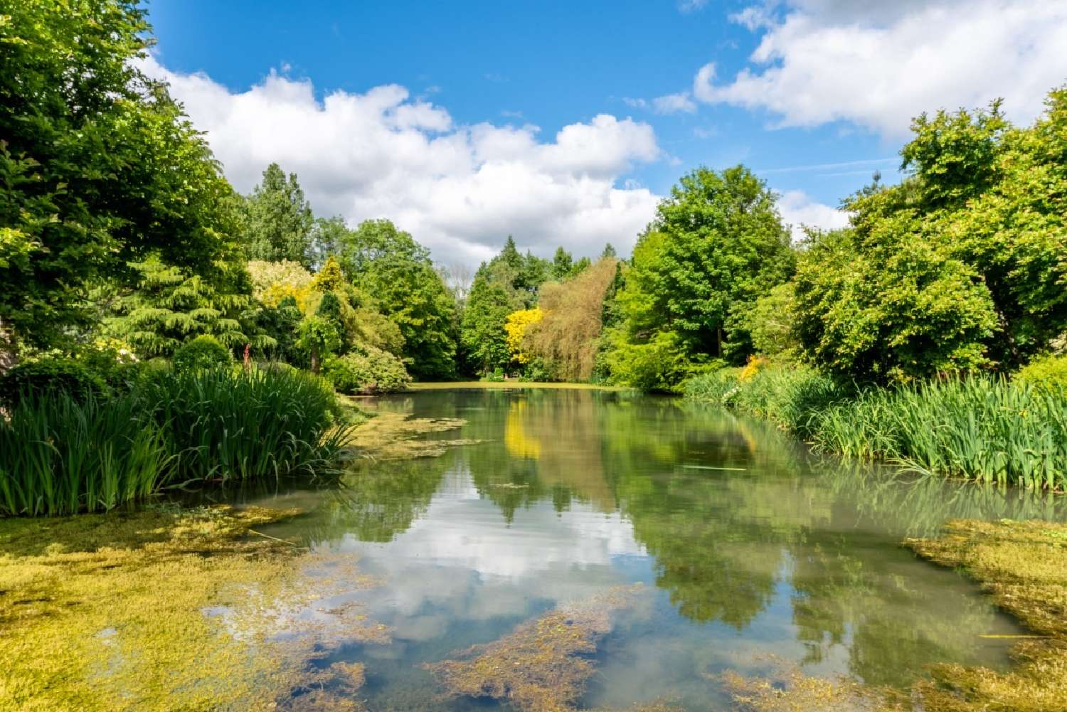  te koop kasteel Rouen Seine-Maritime 2