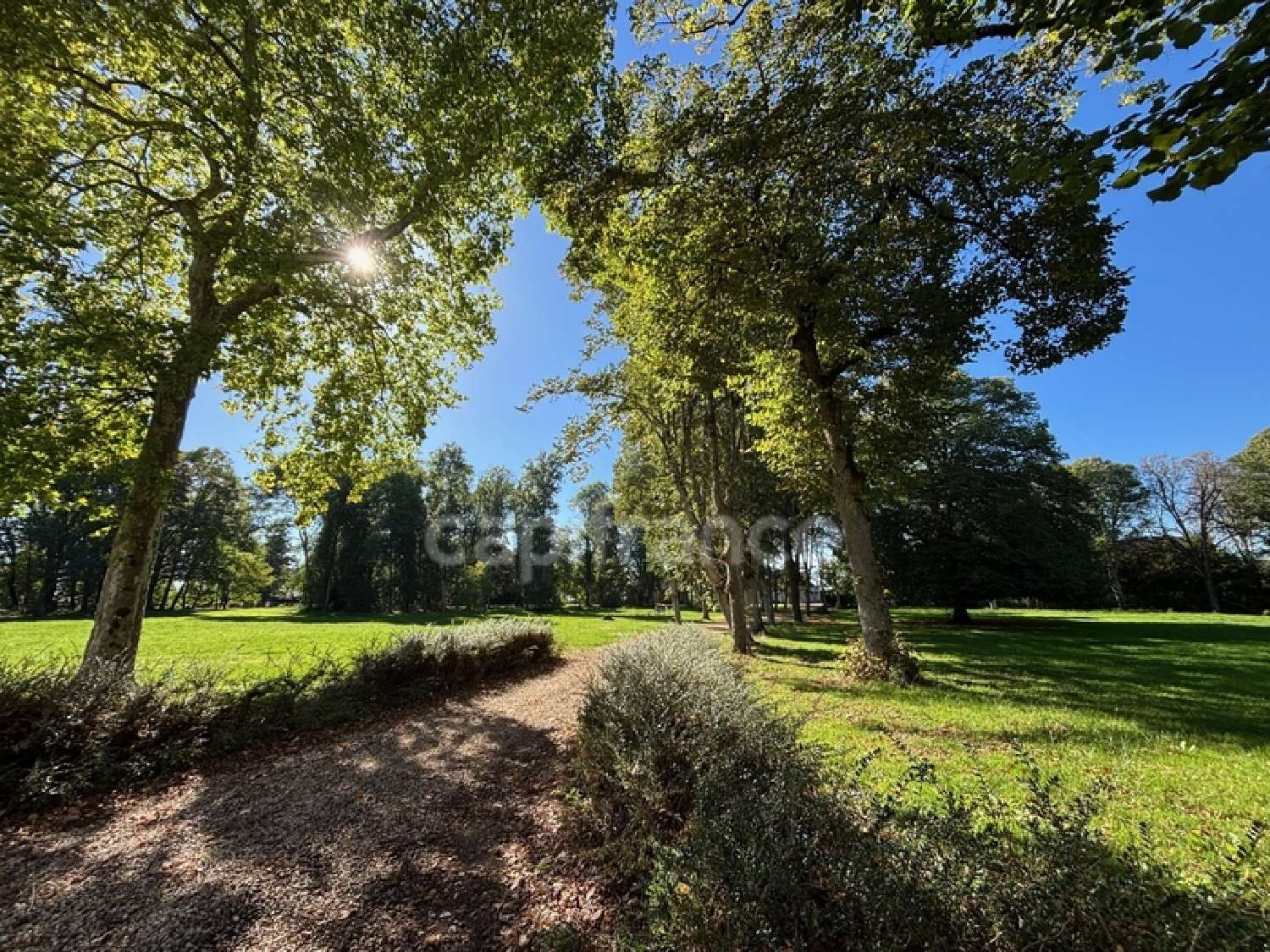  te koop kasteel Sancerre Cher 6