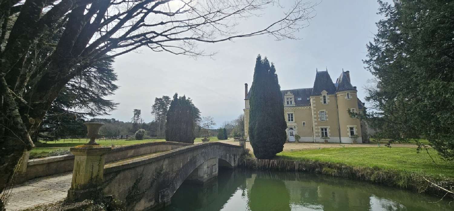 for sale castle Tours Indre-et-Loire 2