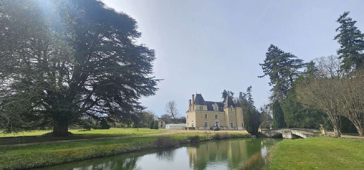  for sale castle Tours Indre-et-Loire 3