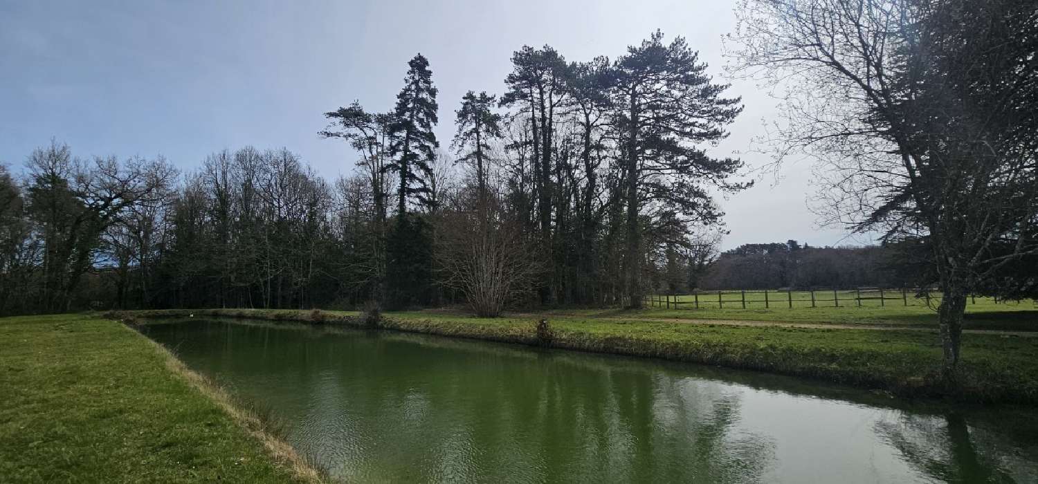  for sale castle Tours Indre-et-Loire 6