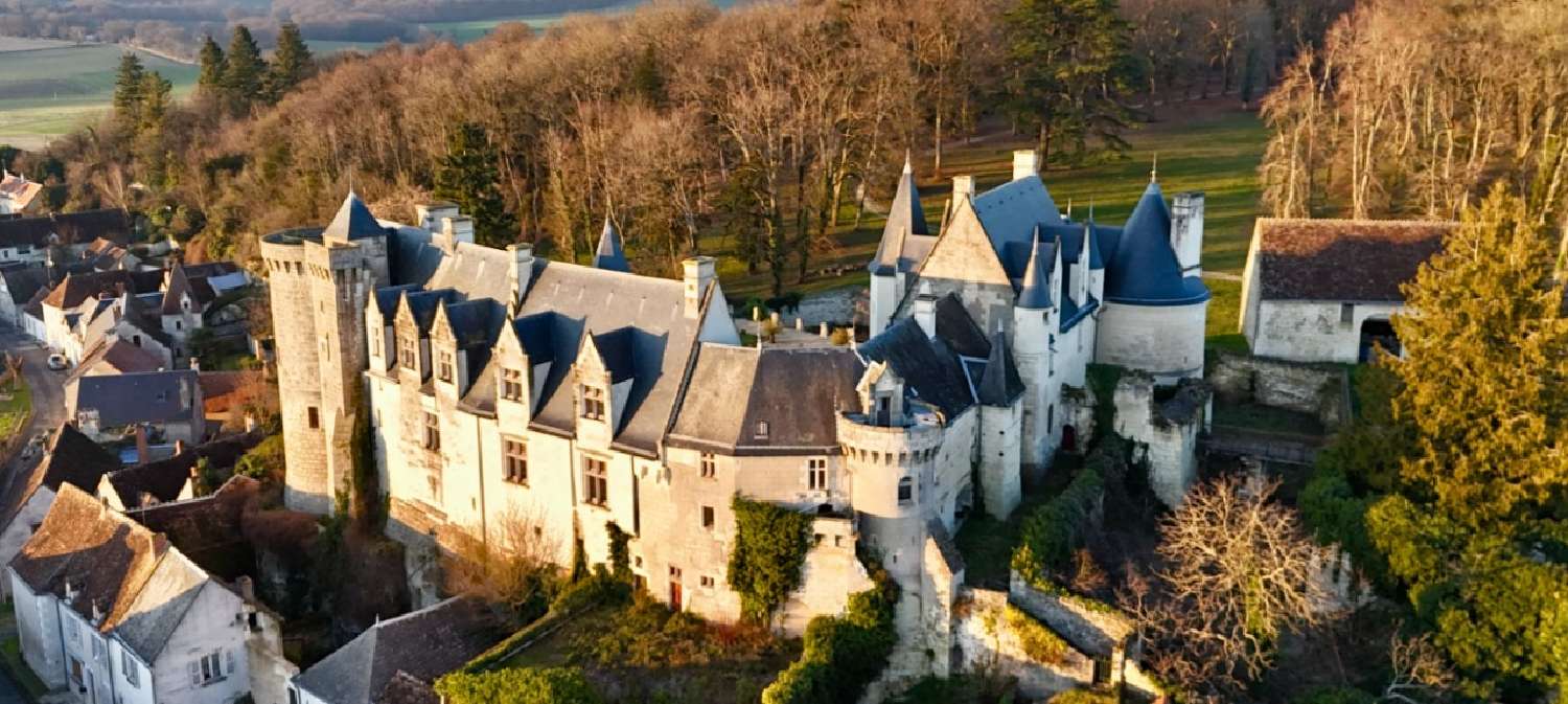  te koop kasteel Tours Indre-et-Loire 5