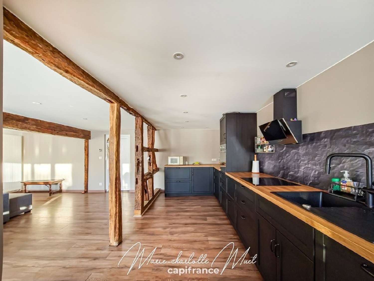  en venta casa urbana Bâgé-le-Châtel Ain 4