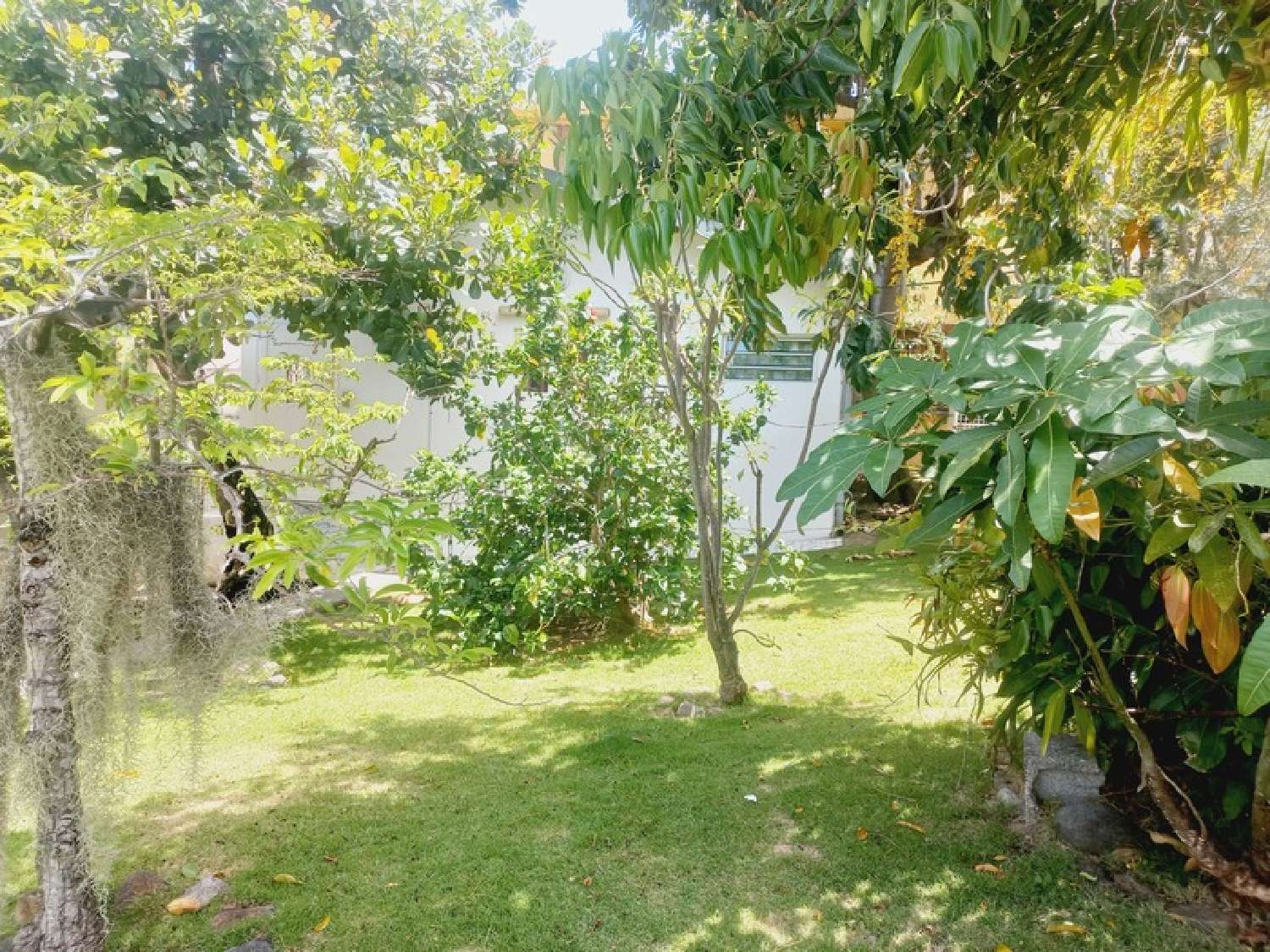 à vendre maison de ville Basse-Terre Guadeloupe 2