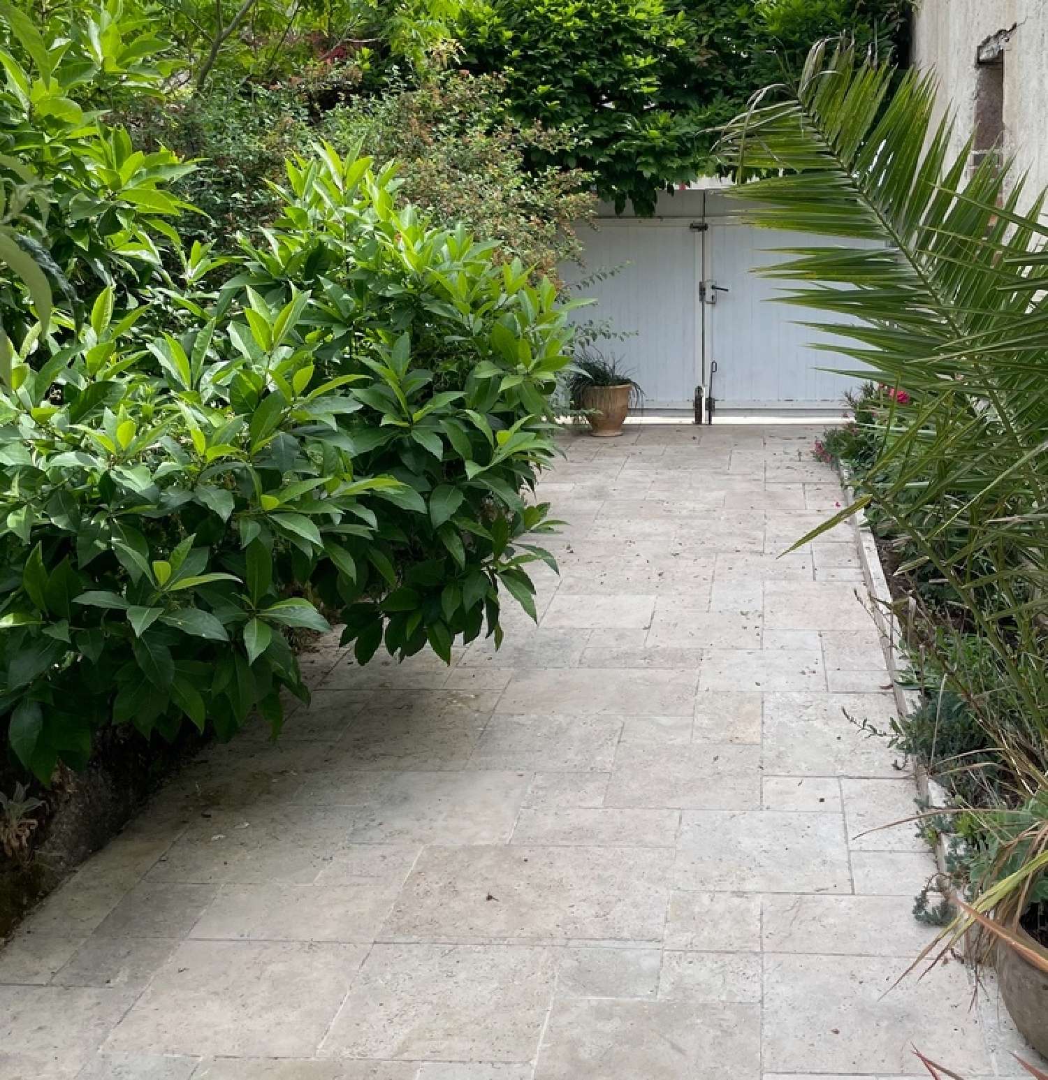  for sale city house Saint-Amand-sur-Sèvre Deux-Sèvres 3