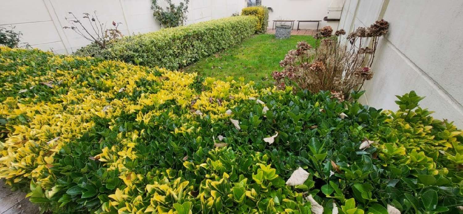  for sale city house Sotteville-lès-Rouen Seine-Maritime 3