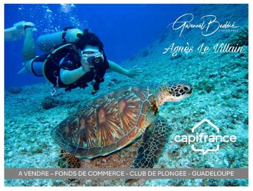 Bouillante Guadeloupe bedrijfsruimte/ kantoor foto 7221371