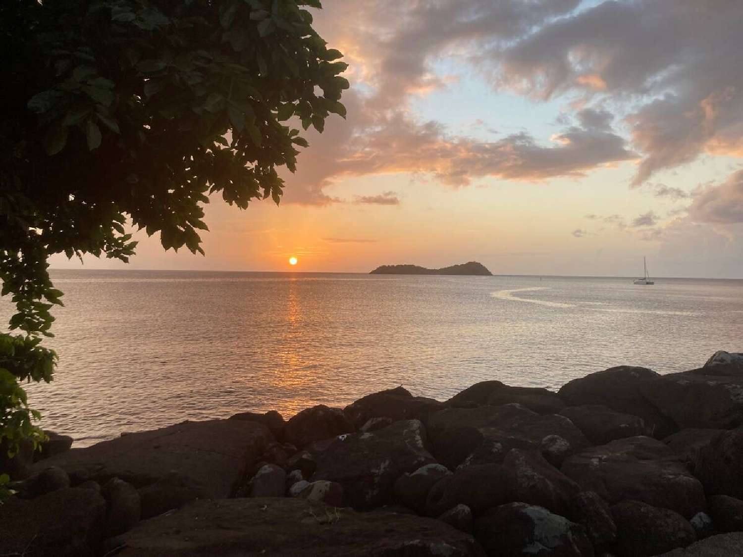 te koop bedrijfsruimte/ kantoor Bouillante Guadeloupe 1