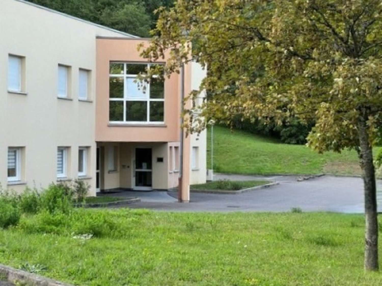  à vendre commerce Longwy Meurthe-et-Moselle 2