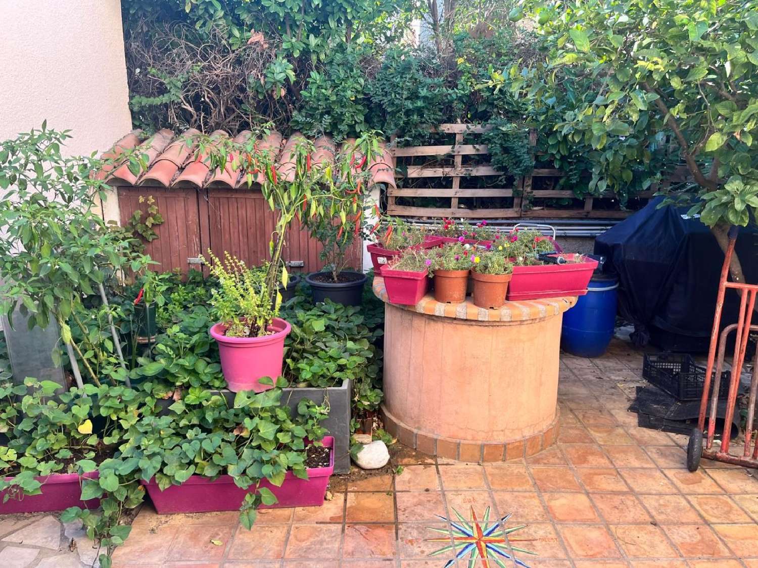 en venta local comercial Perpignan Pirineo Oriental 3