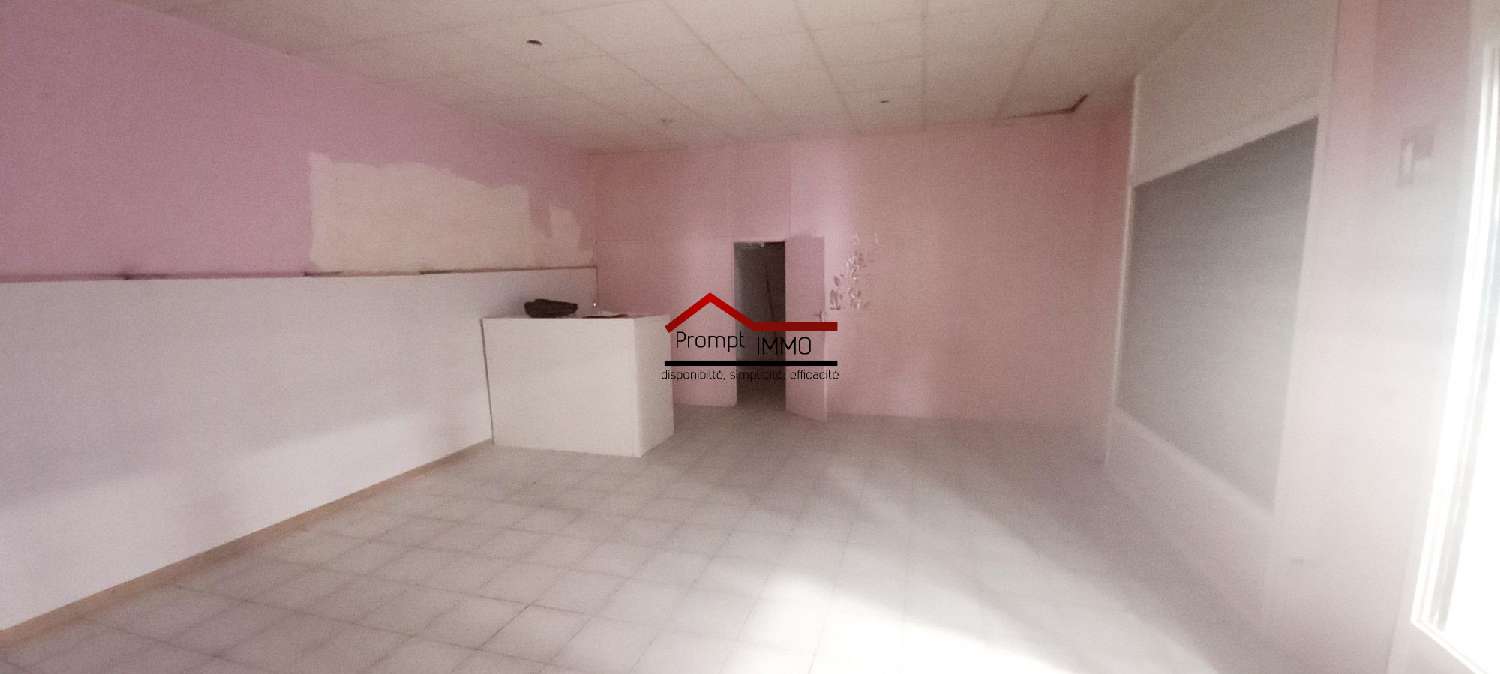 te koop bedrijfsruimte/ kantoor Schœlcher Martinique 2