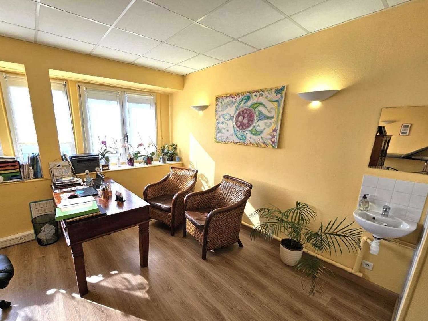 te koop bedrijfsruimte/ kantoor Troyes Aube 4