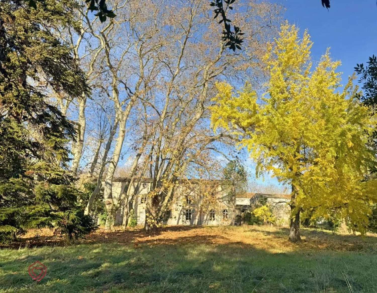 for sale estate Carcassonne Aude 6