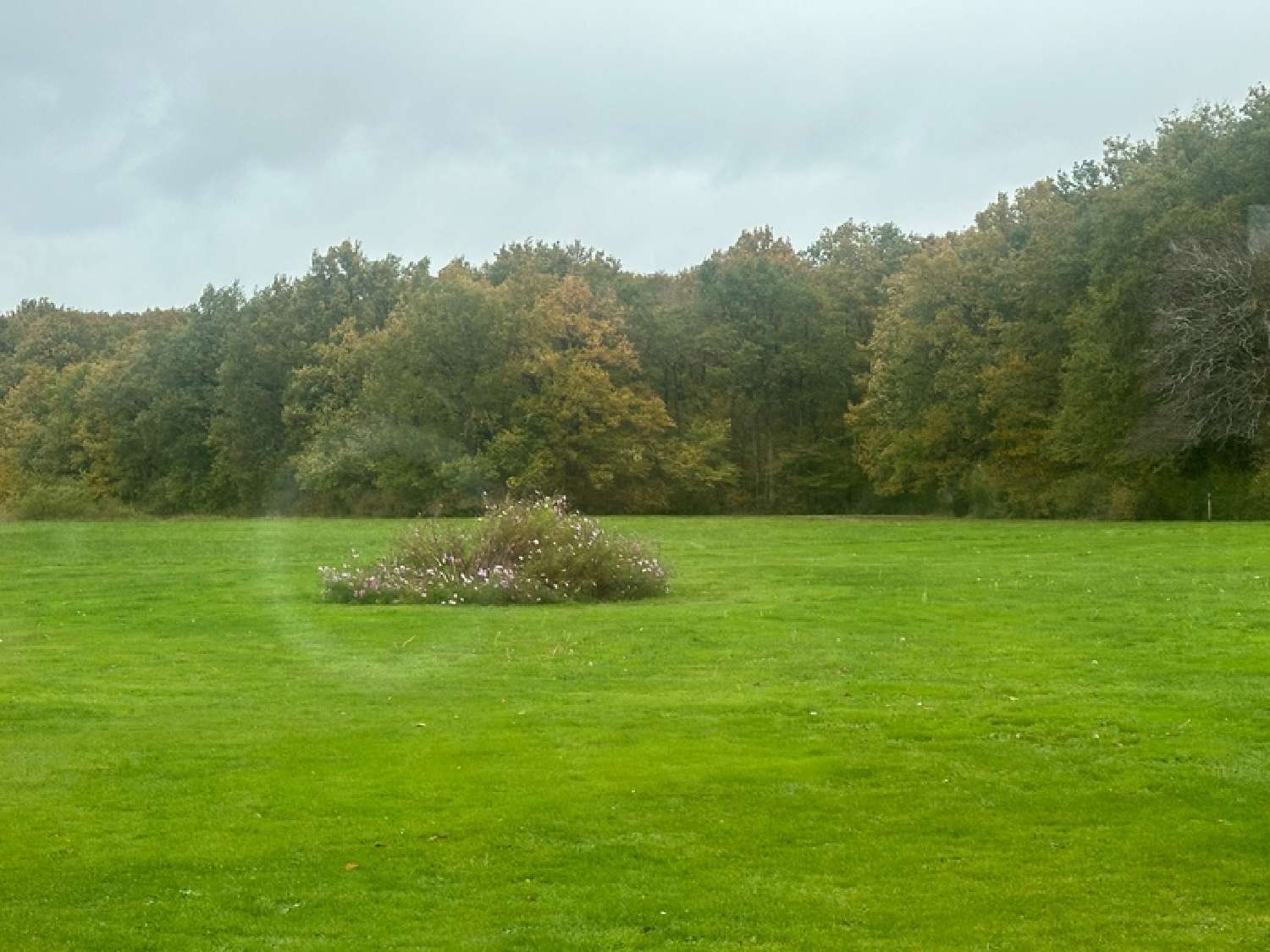  for sale estate Cheverny Loir-et-Cher 1