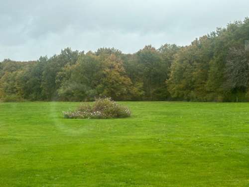 Cheverny Loir-et-Cher estate foto 7228498