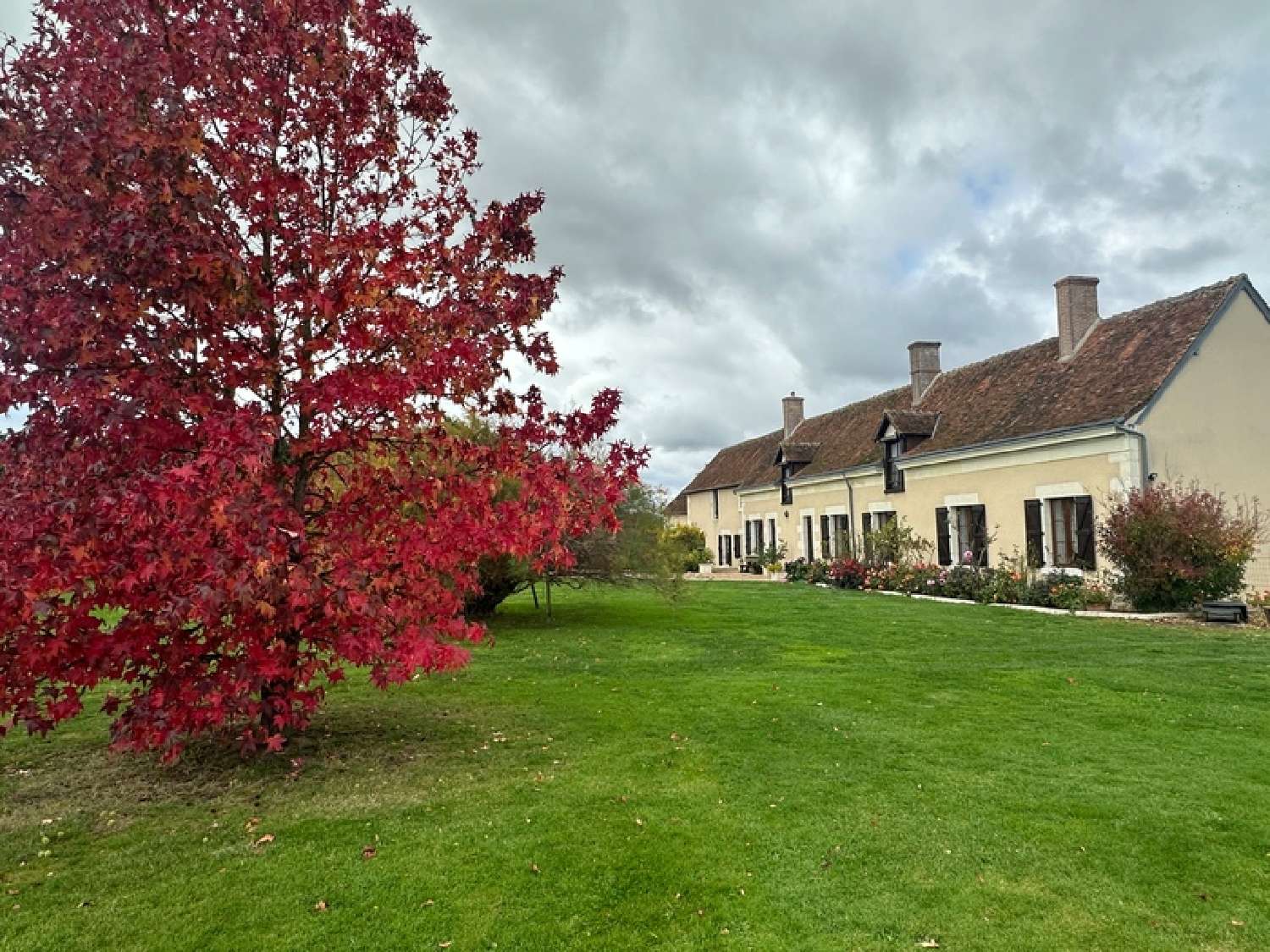  for sale estate Cheverny Loir-et-Cher 4