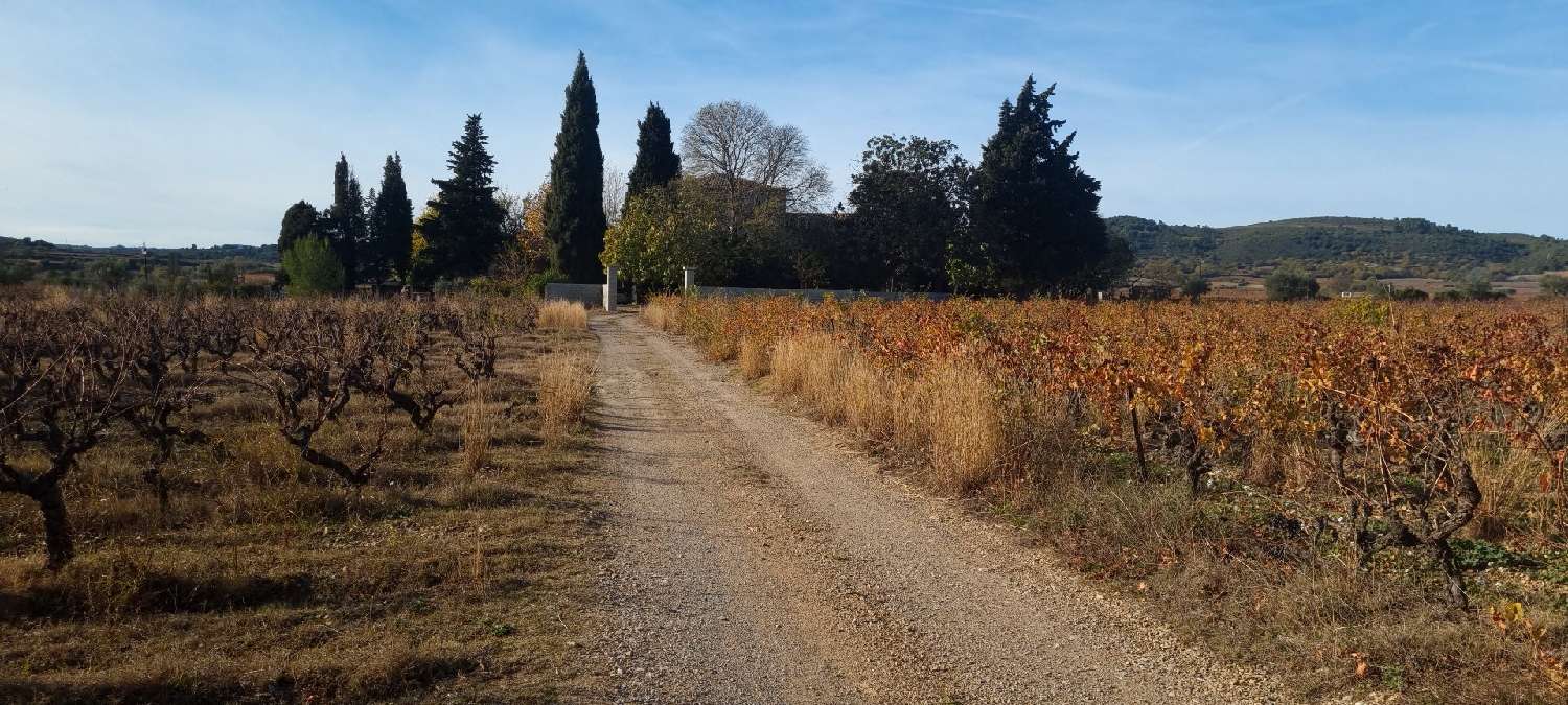  à vendre propriété Jonquières Hérault 1