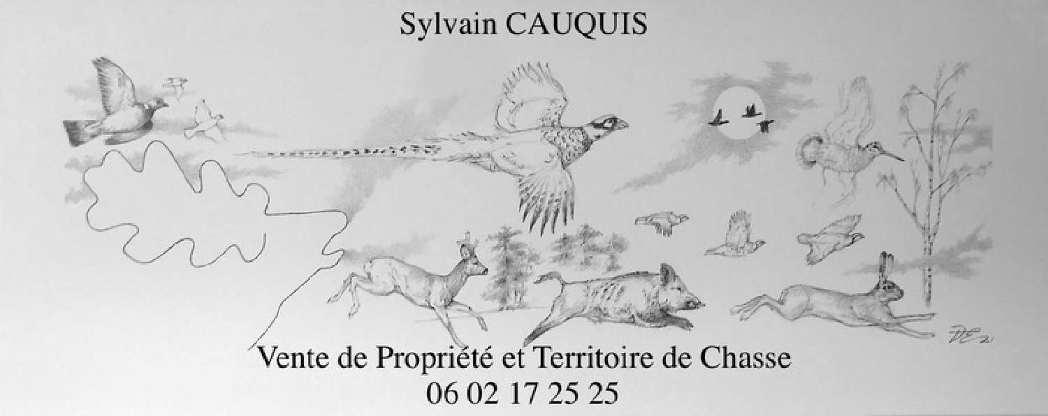 te koop landgoed Lamotte-Beuvron Loir-et-Cher 4