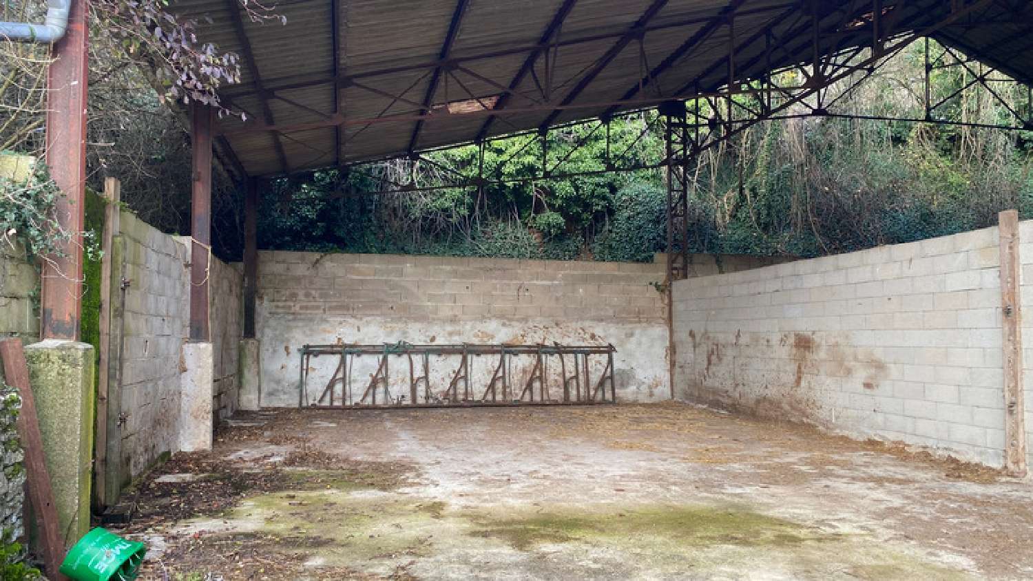 kaufen Landgut Massangis Yonne 4