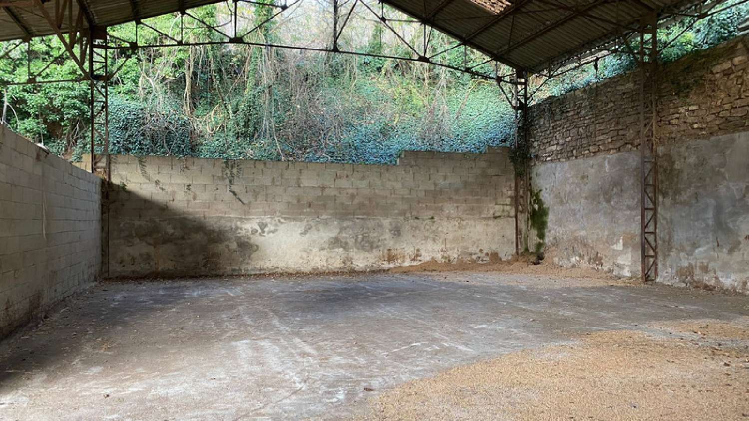 kaufen Landgut Massangis Yonne 5