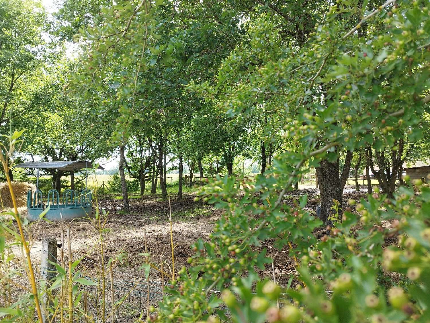 kaufen Landgut Montauban Tarn-et-Garonne 4