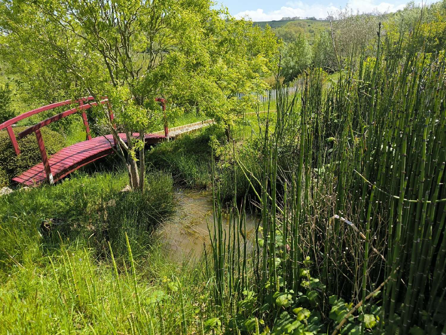 kaufen Landgut Pamiers Ariège 6