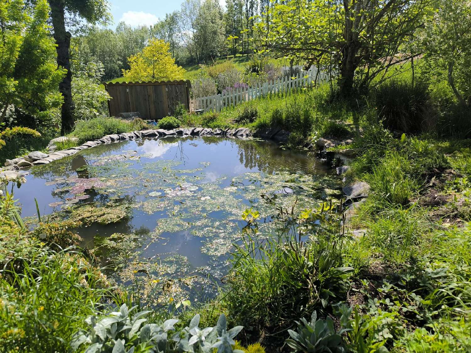 kaufen Landgut Pamiers Ariège 7
