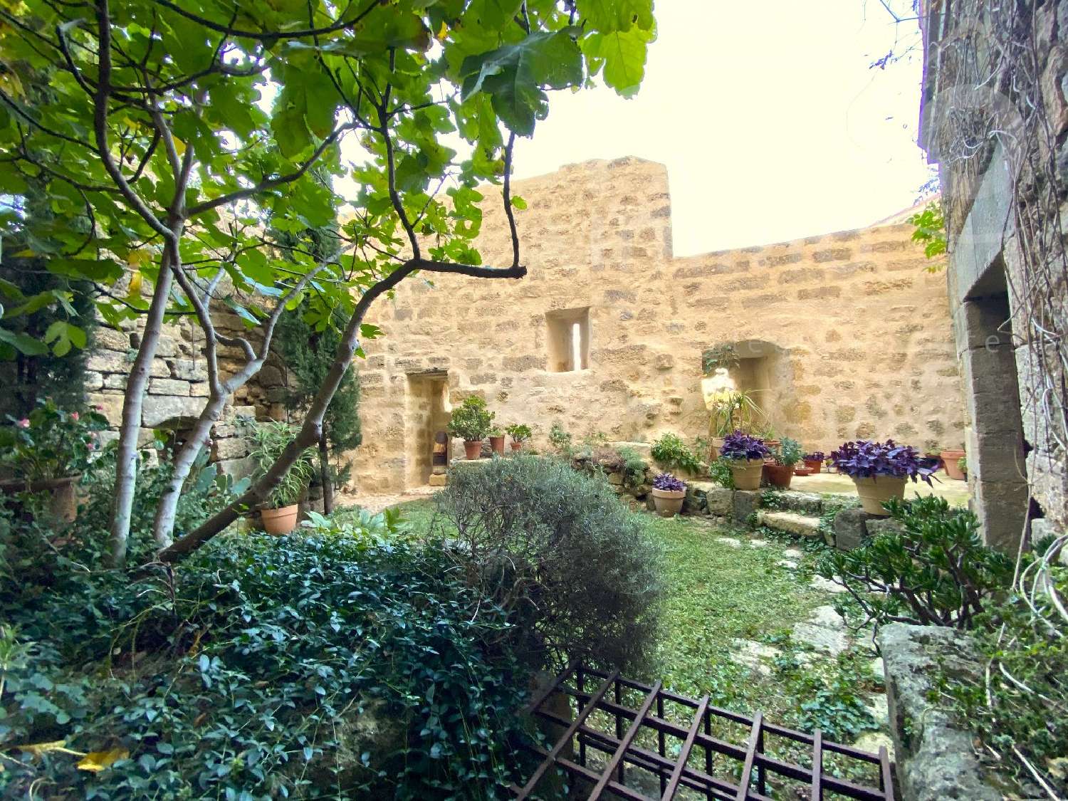à vendre propriété Pézenas Hérault 4
